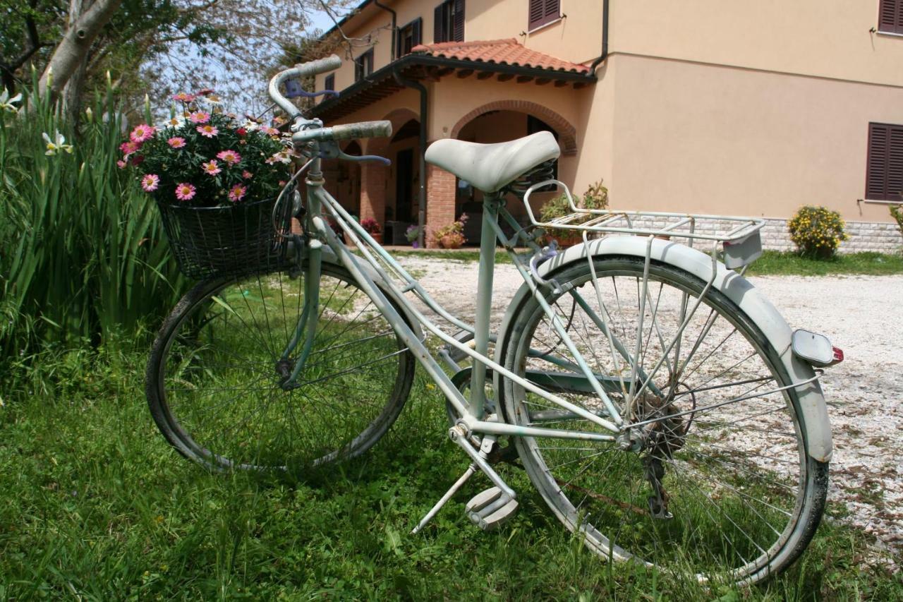 Diciocco Venturina Terme